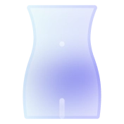 body