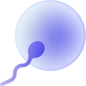 fertilization